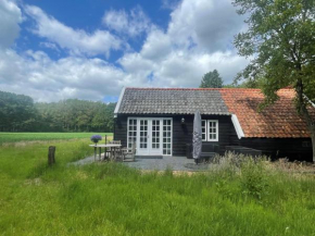 Natuurhuisje - Gastenverblijf De Kleine Hazerij, Wijhe